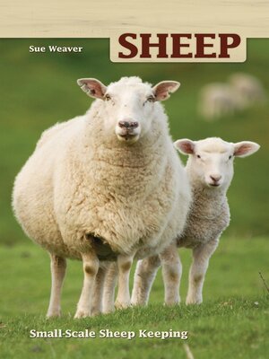 cover image of Sheep